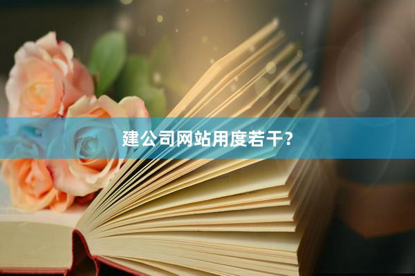 建公司网站用度若干？