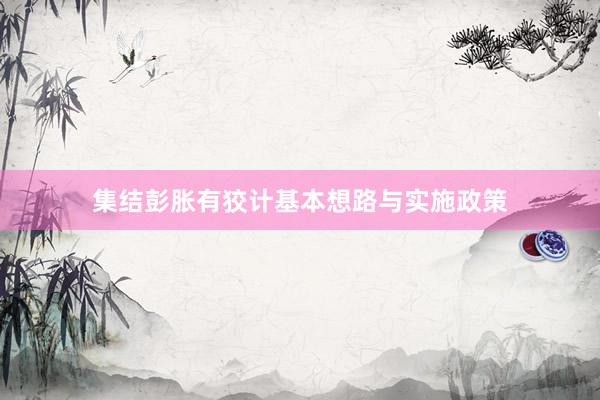 集结彭胀有狡计基本想路与实施政策