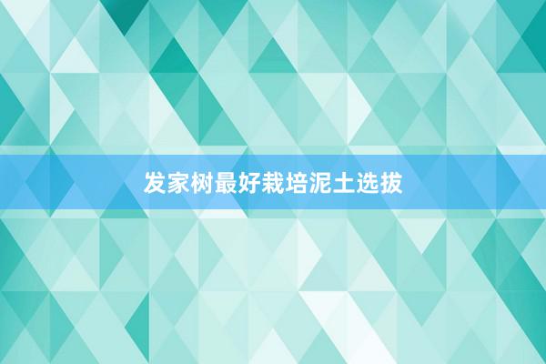 发家树最好栽培泥土选拔