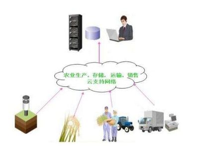 智慧赋能 农业供应链管理的变革之路